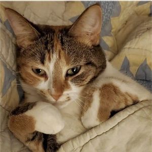 Meet your Posher, Marcy